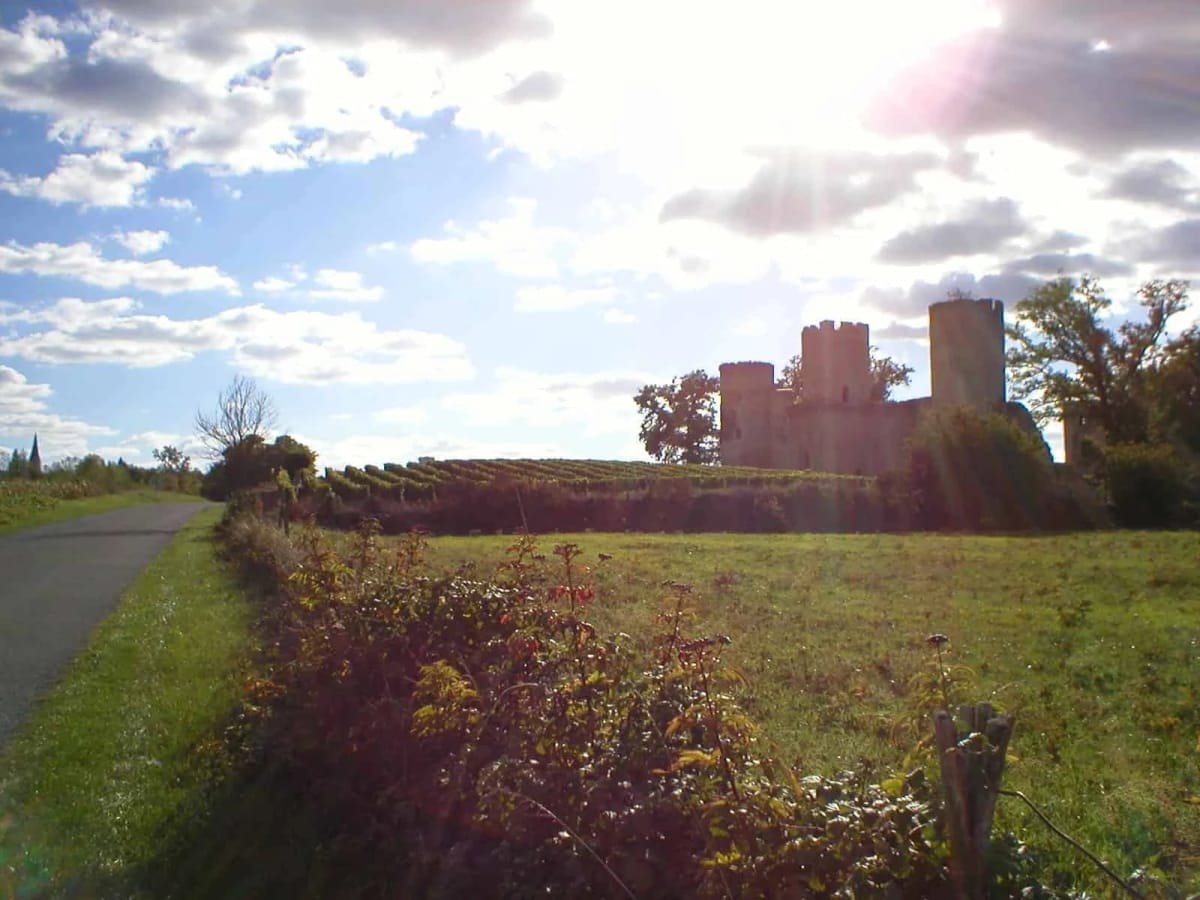 bike-around-bordeaux-great-tour-gironde